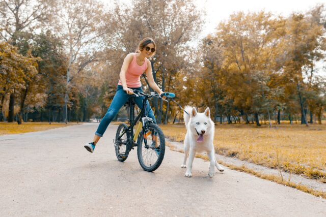 自転車で犬の散歩はしてもいい？片手運転やリードによる事故に注意